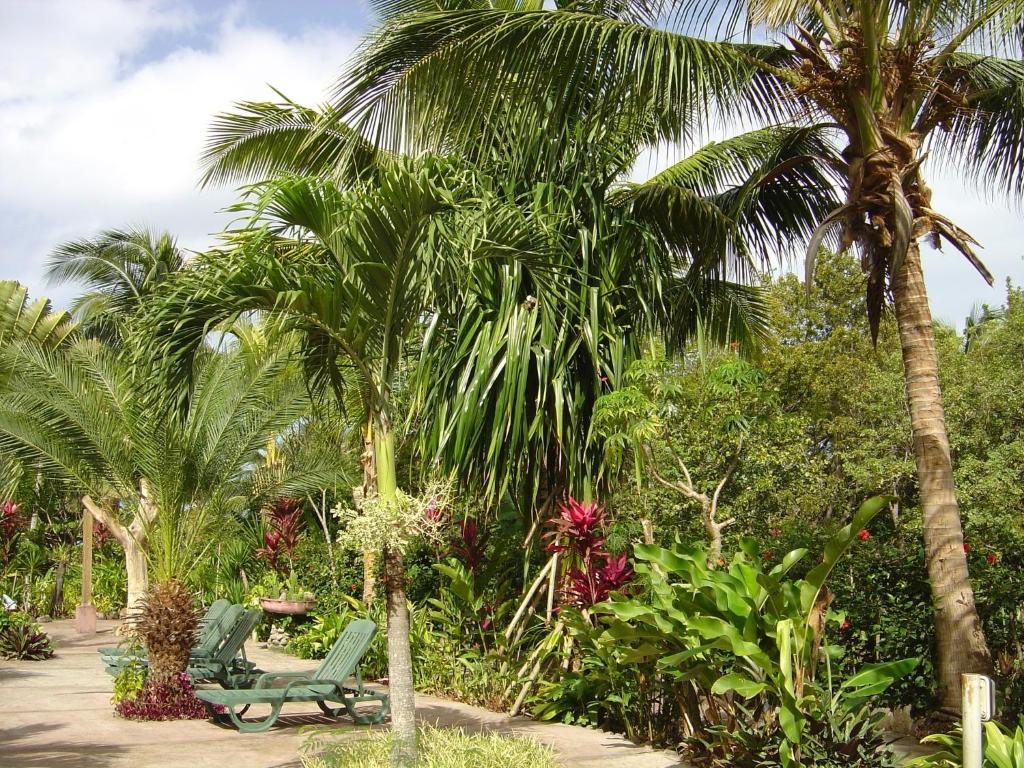 Sunset Bay Club & Seaside Dive Resort Salisbury Exterior foto